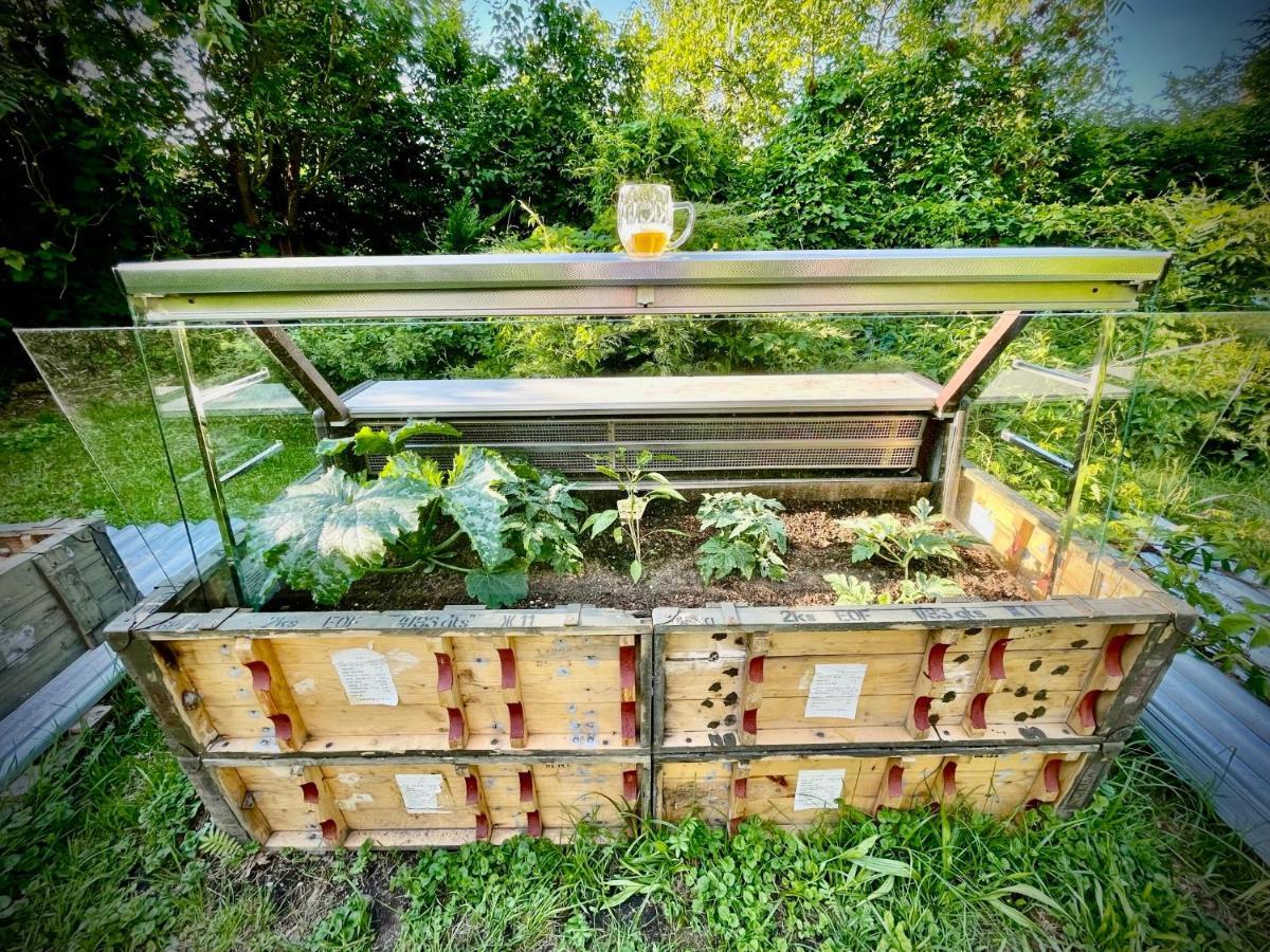 Haraburdi Recyclart Hotel Kostelec nad Orlicí 外观 照片